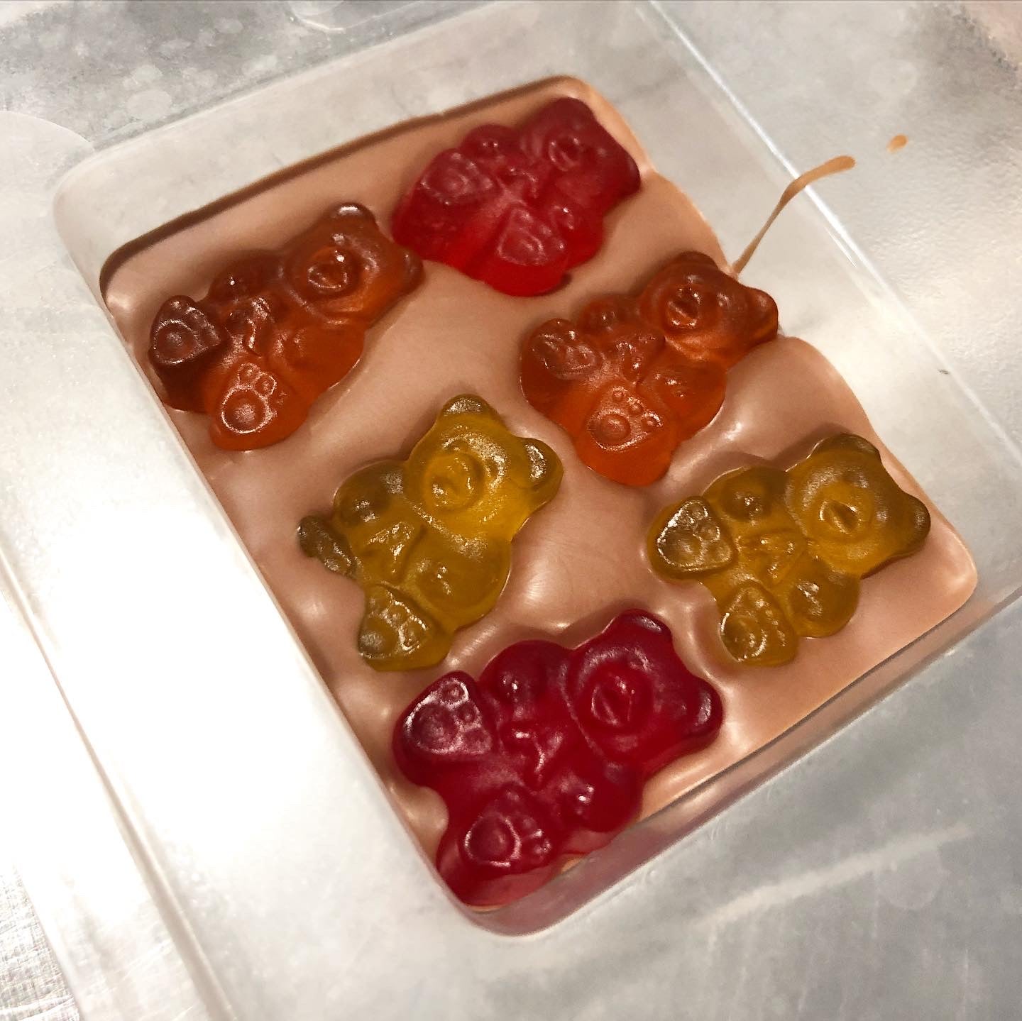 Gummy Bars